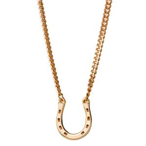 <p>Mini horseshoe necklace</p>